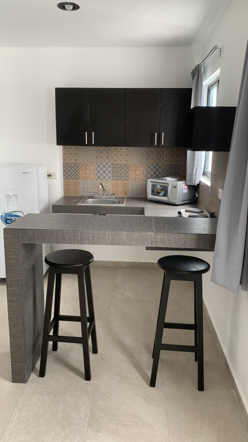 Departamento en Renta imss t1